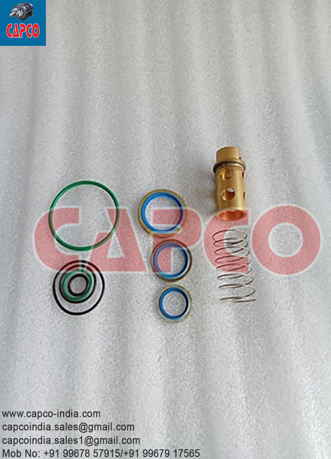 OIL CHECK VALVE KIT