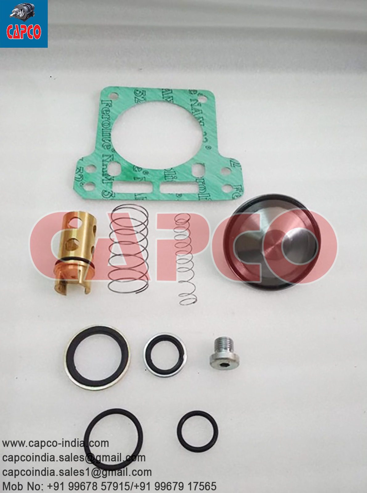 OIL CHECK VALVE KIT