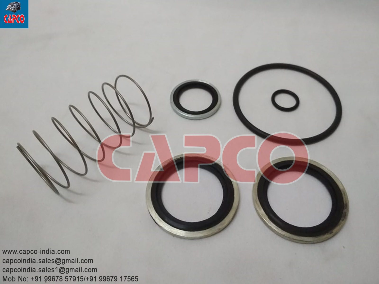 OIL CHECK VALVE KIT