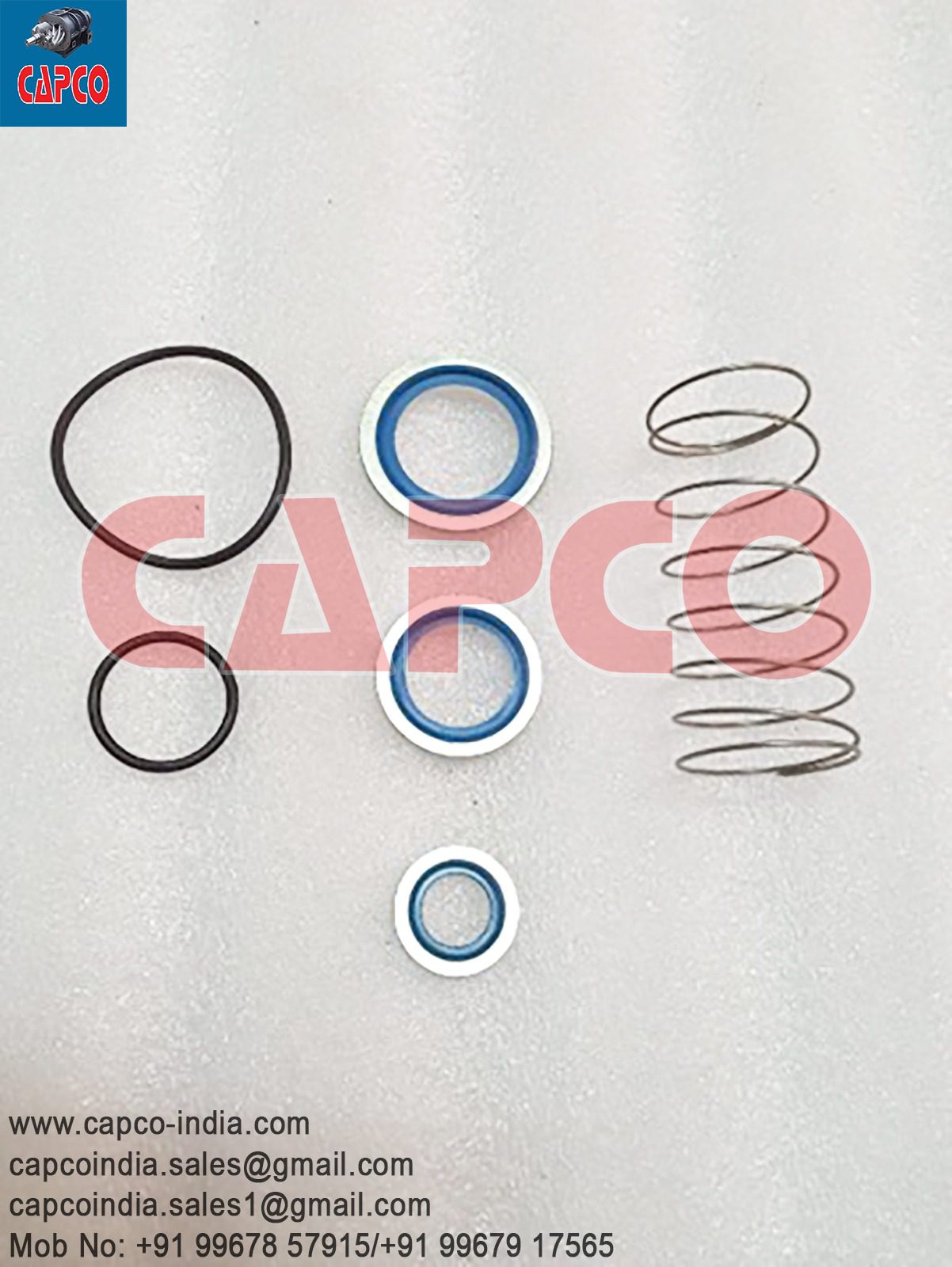 OIL CHECK VALVE KIT