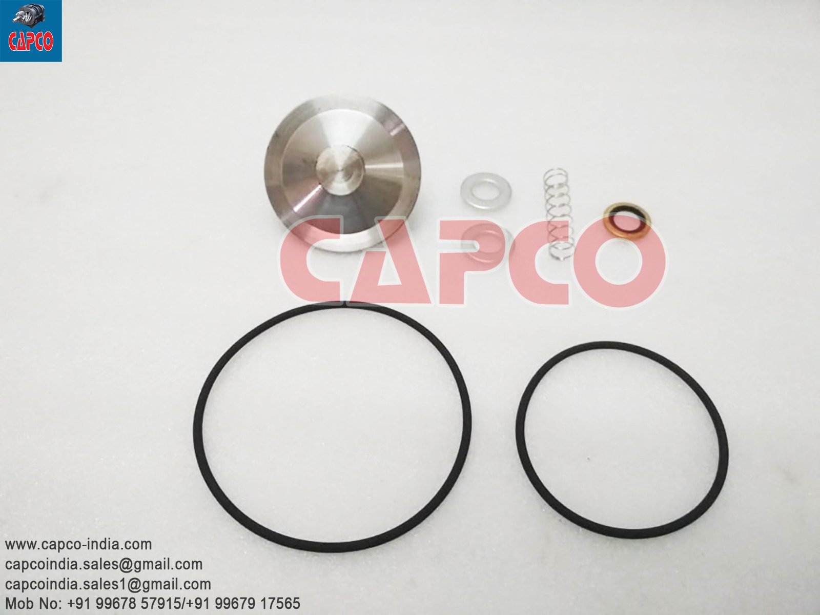 CHECK VALVE KIT - 2901007700