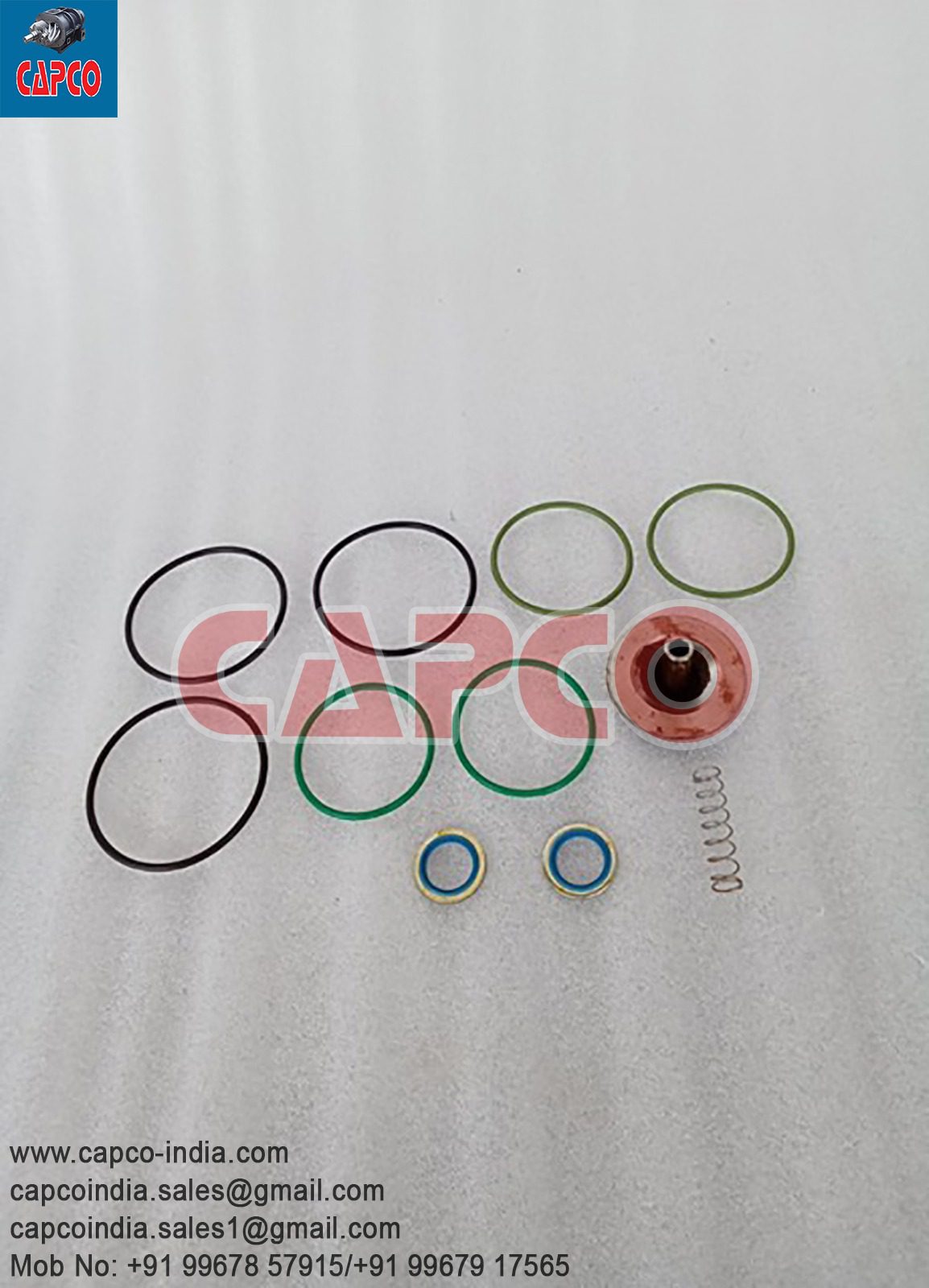 CHECK VALVE KIT - 2901021200