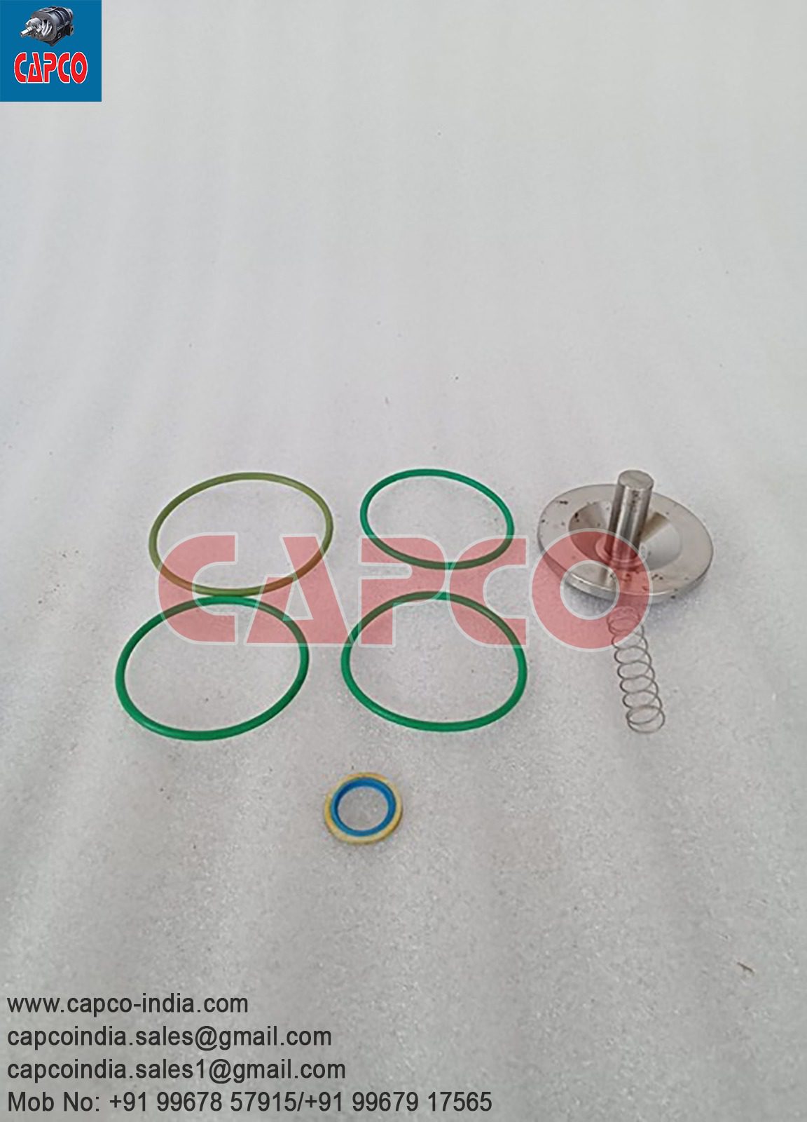 CHECK VALVE KIT - 2901050300