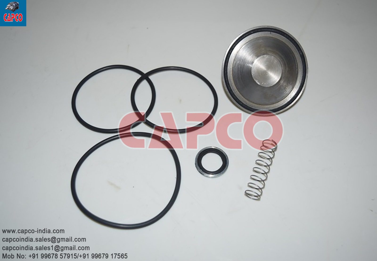 CHECK VALVE KIT - 2901050301