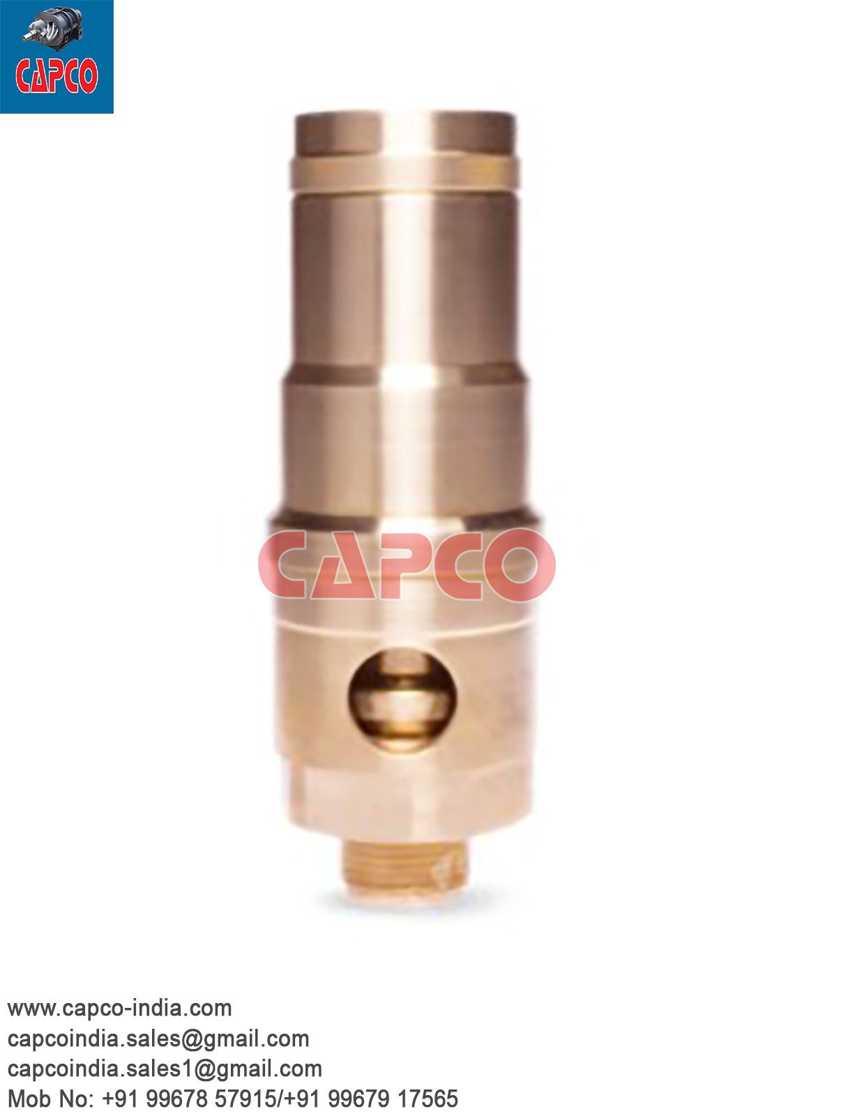 SAFETY VALVE - 0830100810