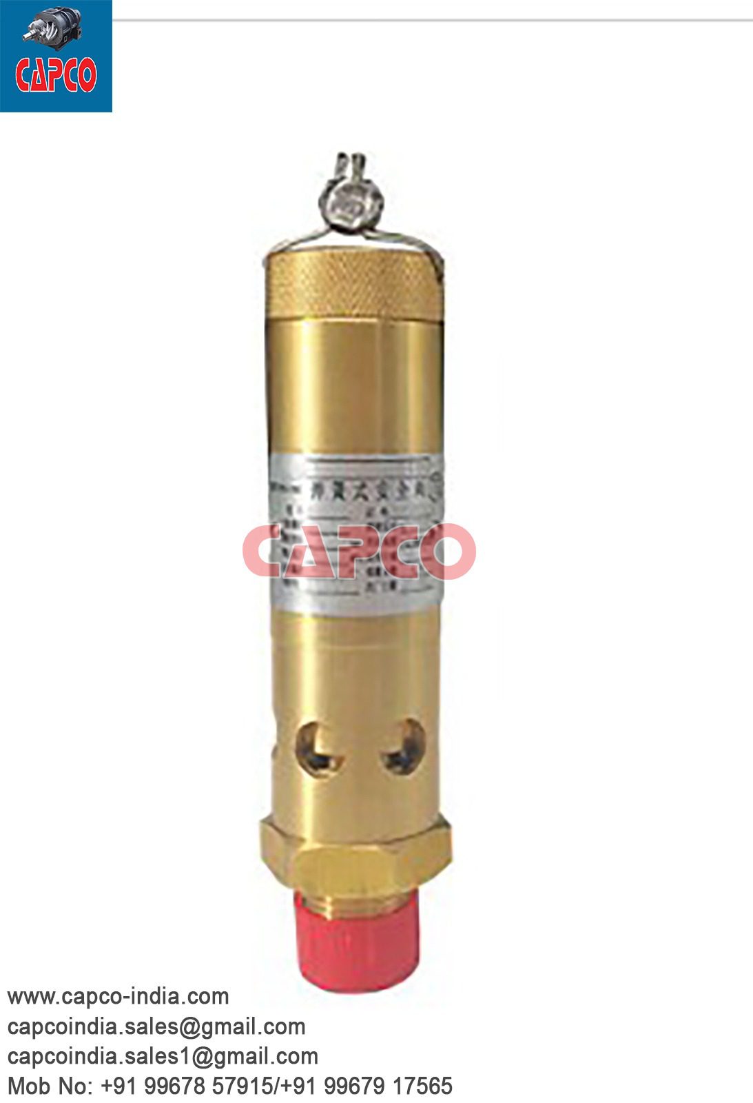 SAFETY VALVE - 0830100811