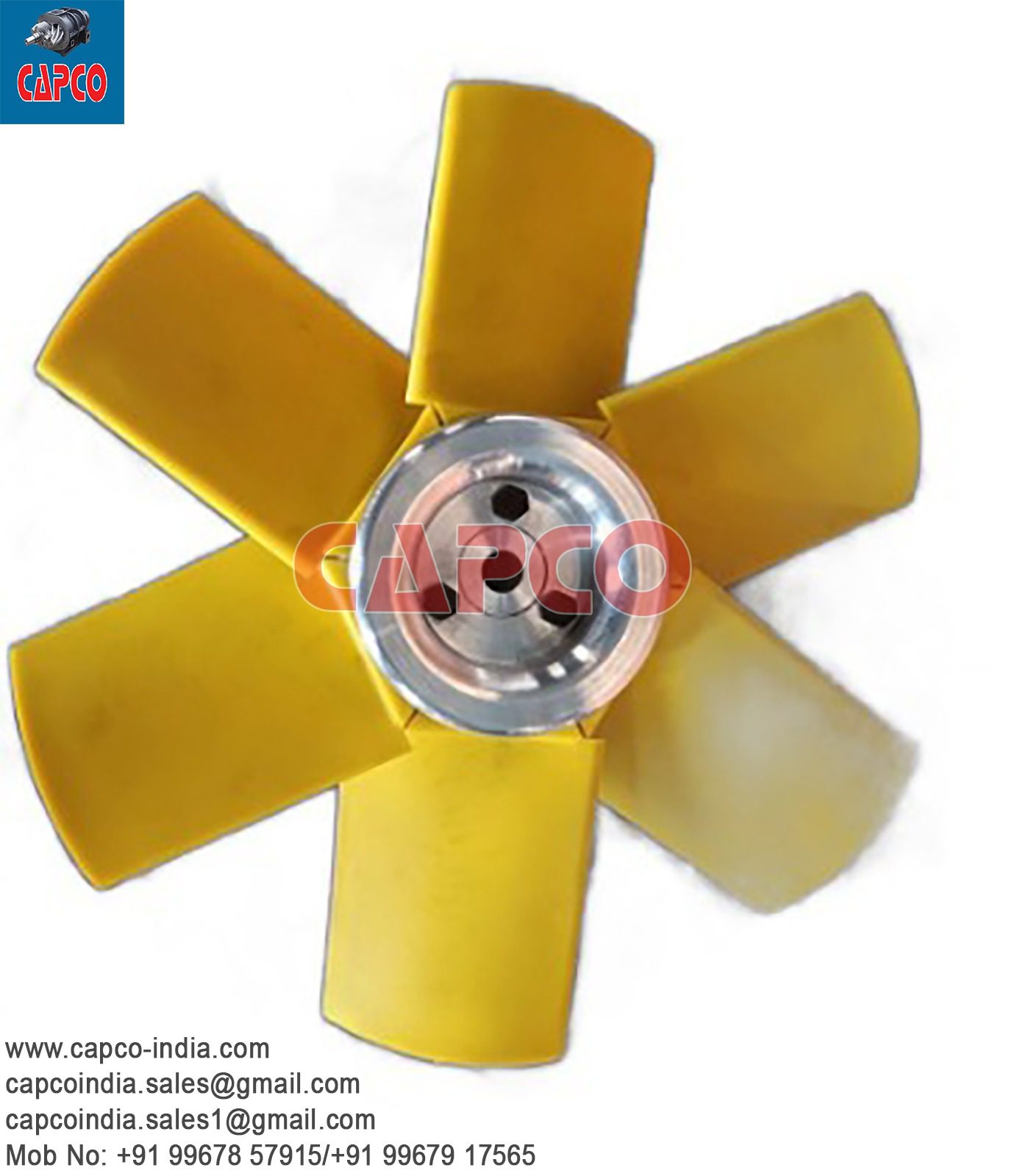 FAN