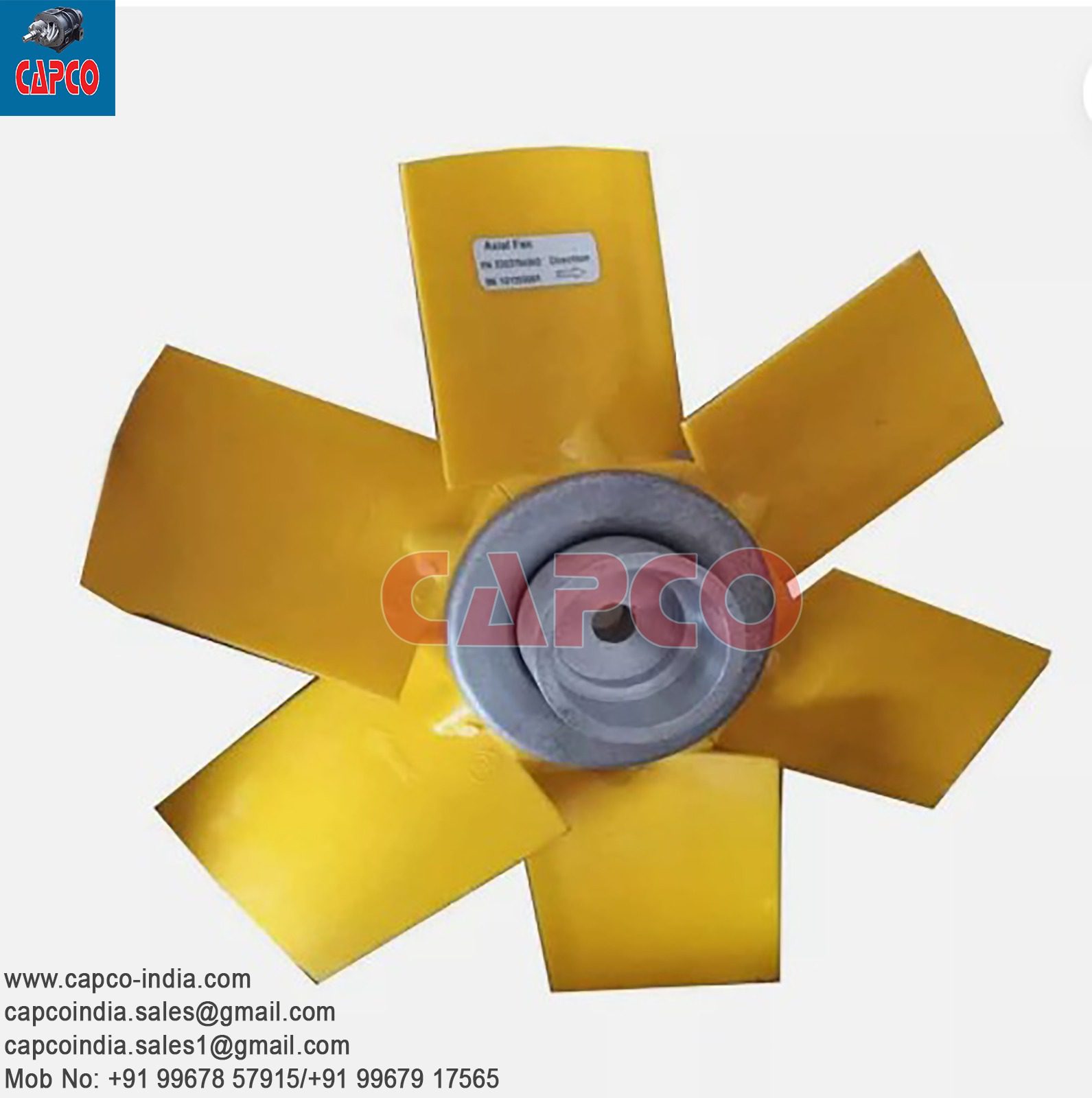 FAN