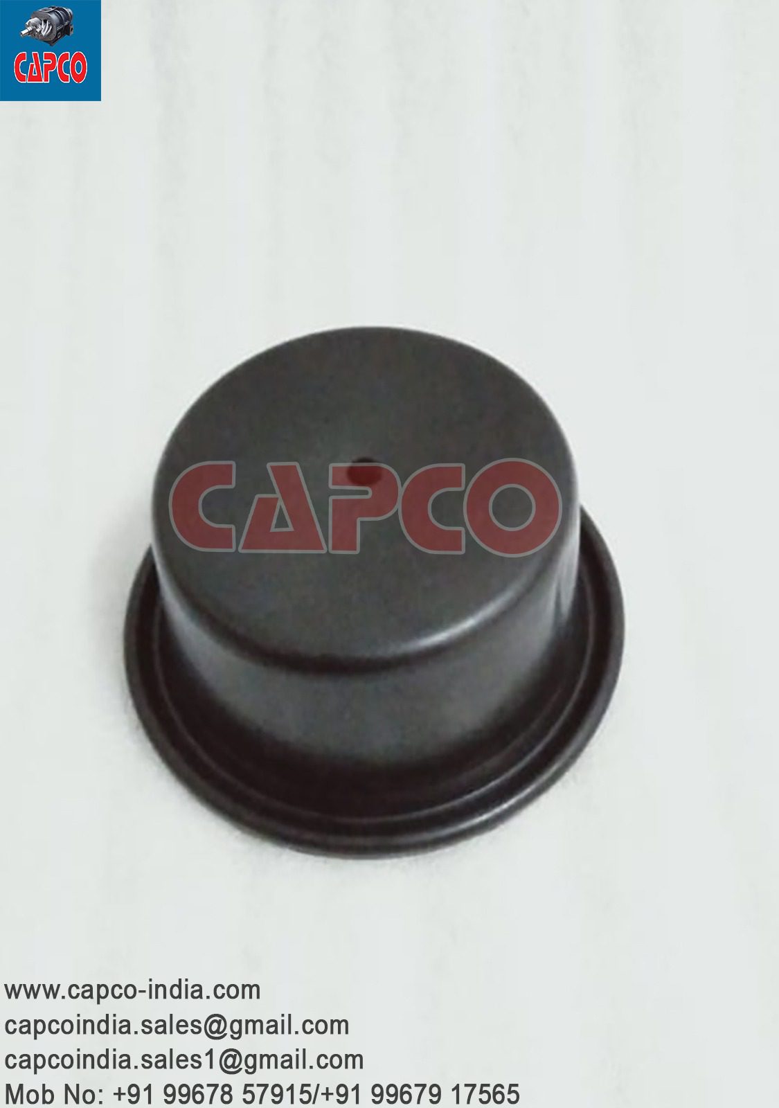ROLLING DIAPHRAGM - 1613126809
