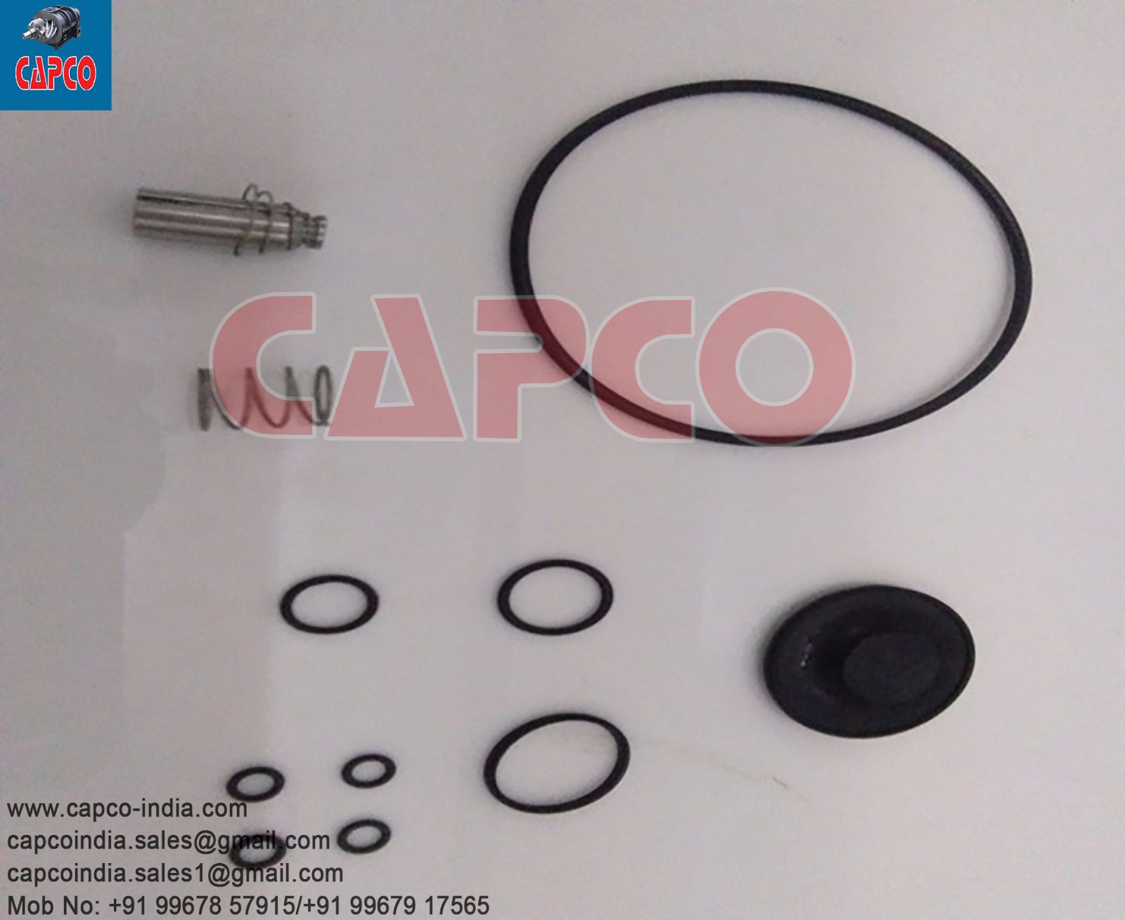 DRAIN VALVE KIT