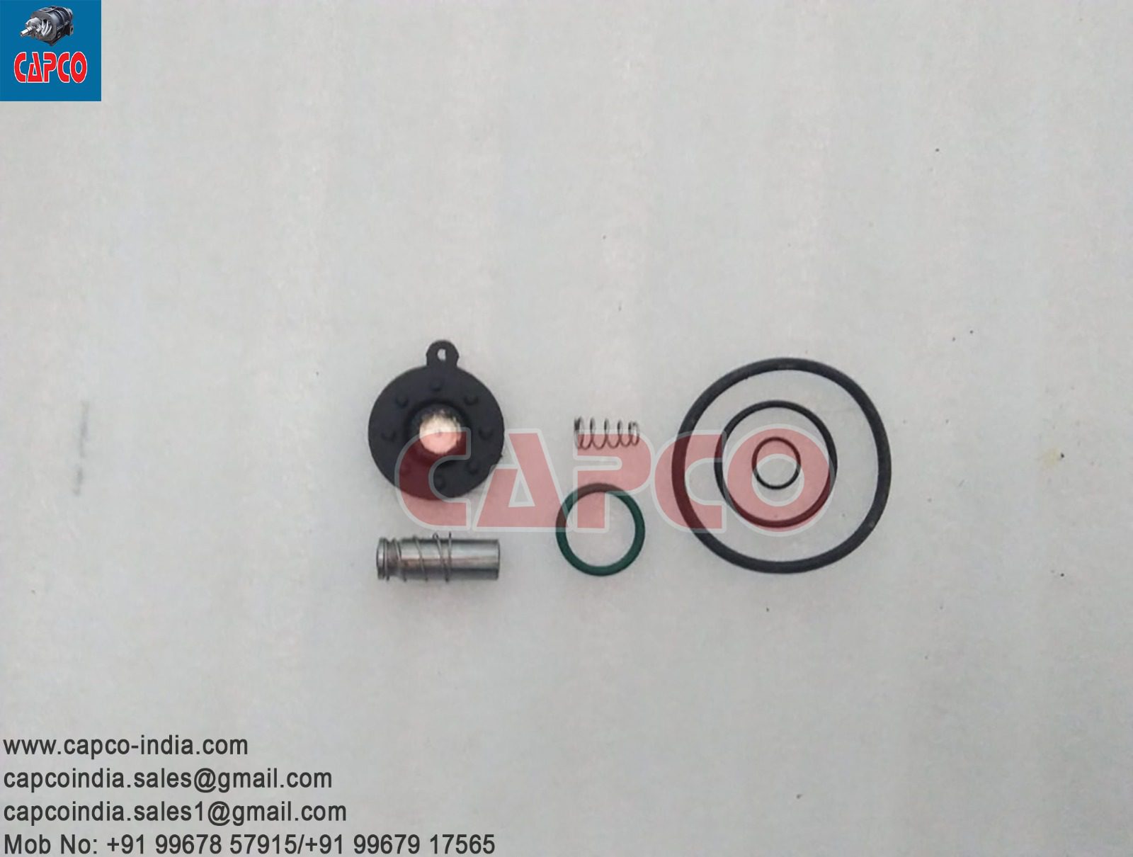 DRAIN VALVE KIT